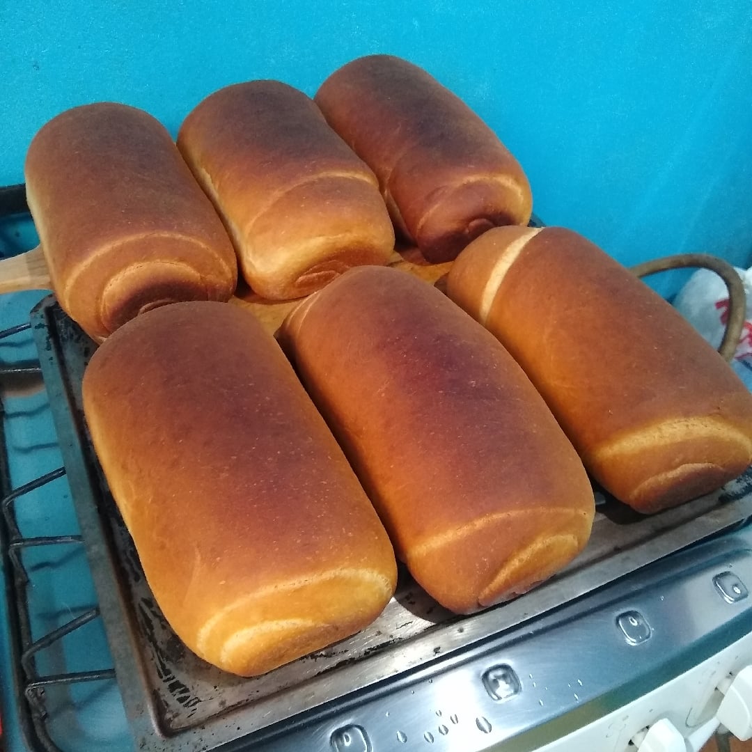 Photo of the Easy Home Bread – recipe of Easy Home Bread on DeliRec