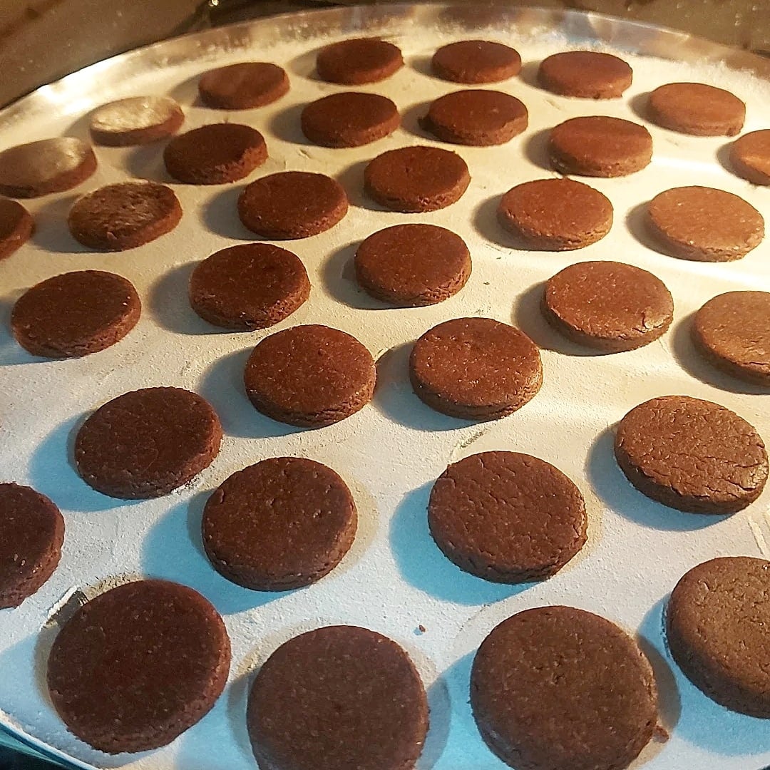 Photo of the Cocoa Biscuit – recipe of Cocoa Biscuit on DeliRec