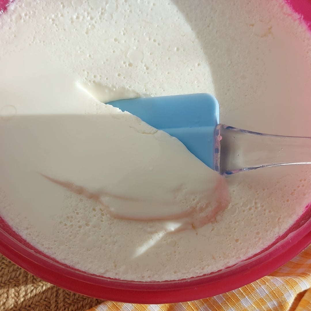 Photo of the Homemade natural yogurt – recipe of Homemade natural yogurt on DeliRec