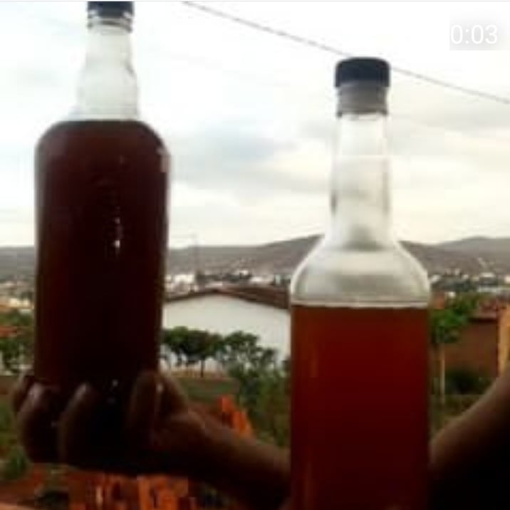 Photo of the tamarind liqueur – recipe of tamarind liqueur on DeliRec