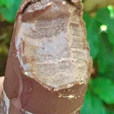 Recipe of chocolate ice cream on the DeliRec recipe website