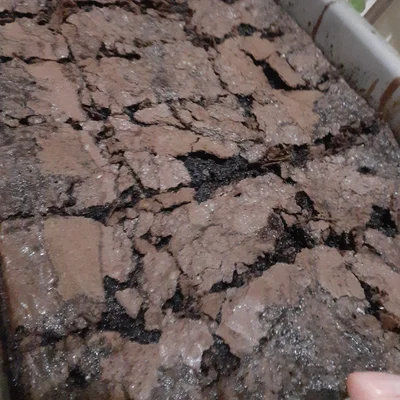 Recipe of Brownie with Chocolate on the DeliRec recipe website