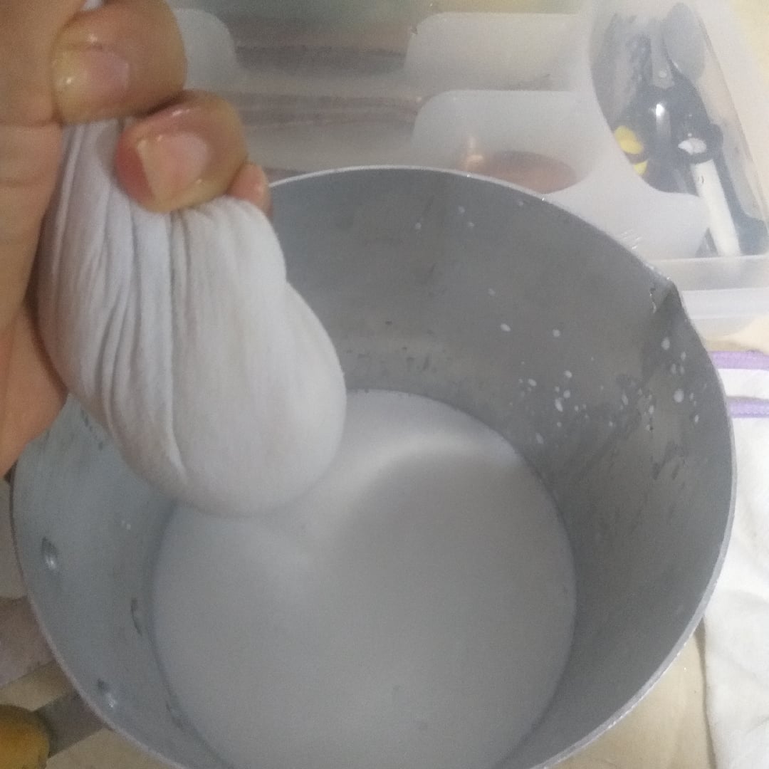 Photo of the homemade coconut milk – recipe of homemade coconut milk on DeliRec