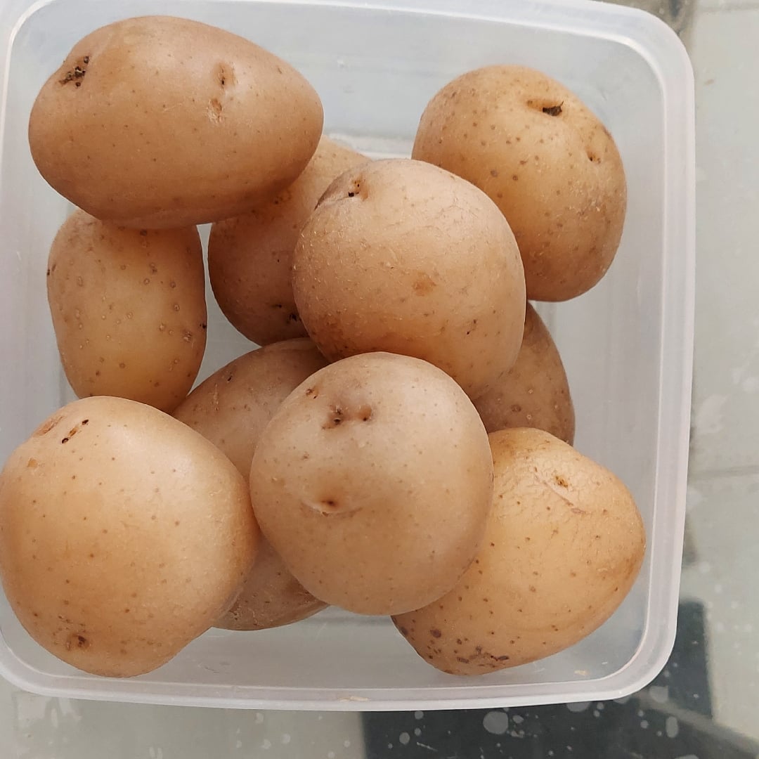 Photo of the boiled potato – recipe of boiled potato on DeliRec