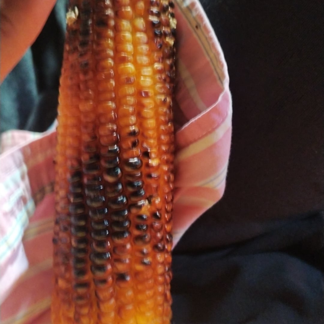 Photo of the Roasted corn – recipe of Roasted corn on DeliRec