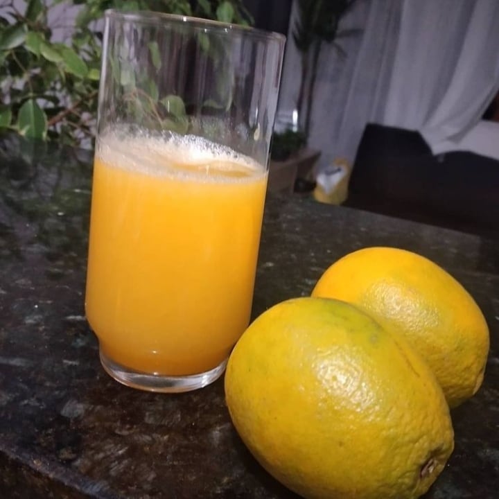 Photo of the plain orange juice – recipe of plain orange juice on DeliRec