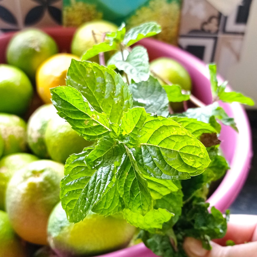 Photo of the Lemongrass natural iced tea with mint – recipe of Lemongrass natural iced tea with mint on DeliRec