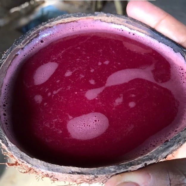Photo of the Pink Juice – recipe of Pink Juice on DeliRec