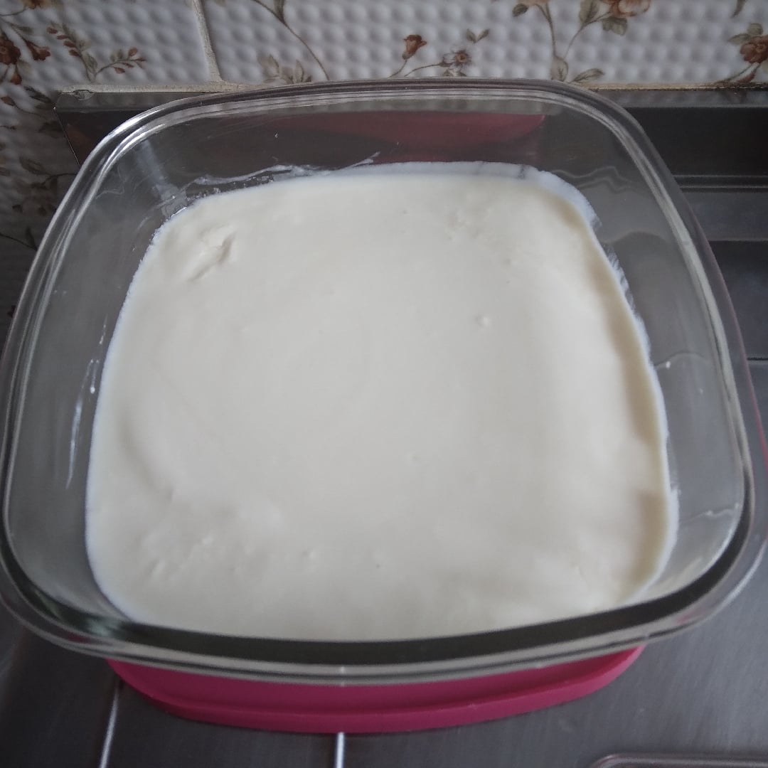Photo of the Creamy natural yoghurt – recipe of Creamy natural yoghurt on DeliRec
