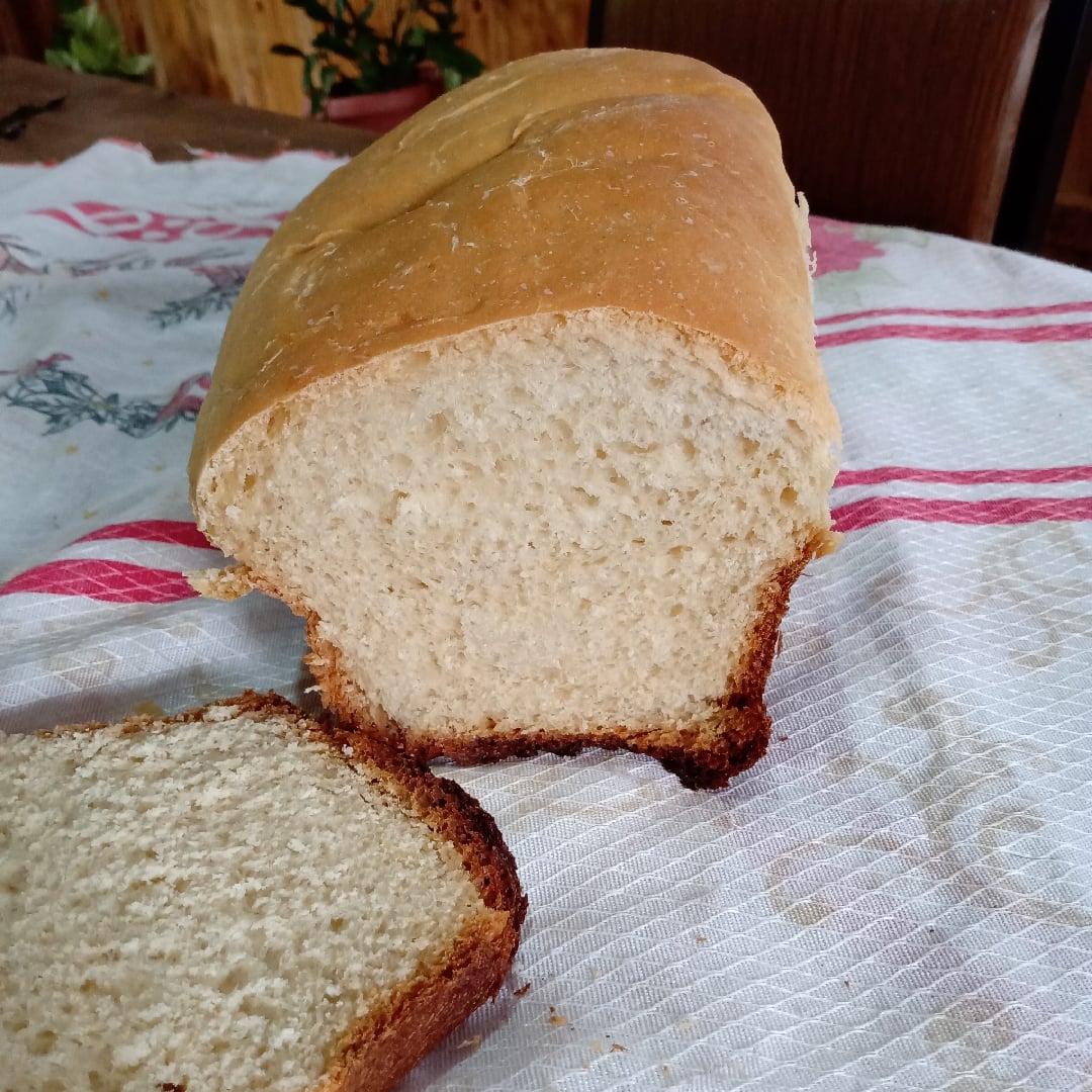 Photo of the Easy and Fast Homemade Bread – recipe of Easy and Fast Homemade Bread on DeliRec