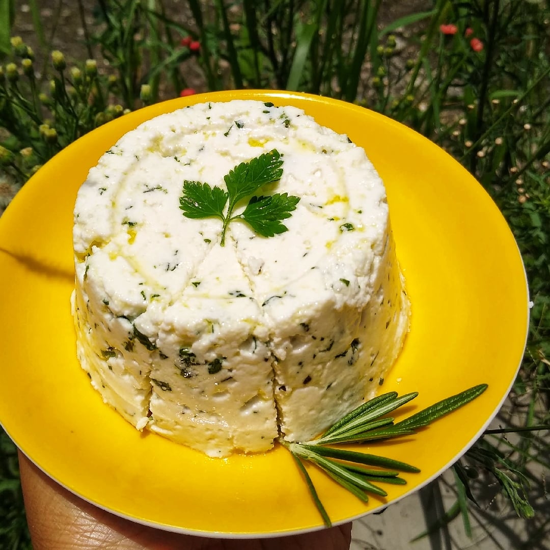 Photo of the HOMEMADE RICOTTA SPICED WITH HERBS – recipe of HOMEMADE RICOTTA SPICED WITH HERBS on DeliRec