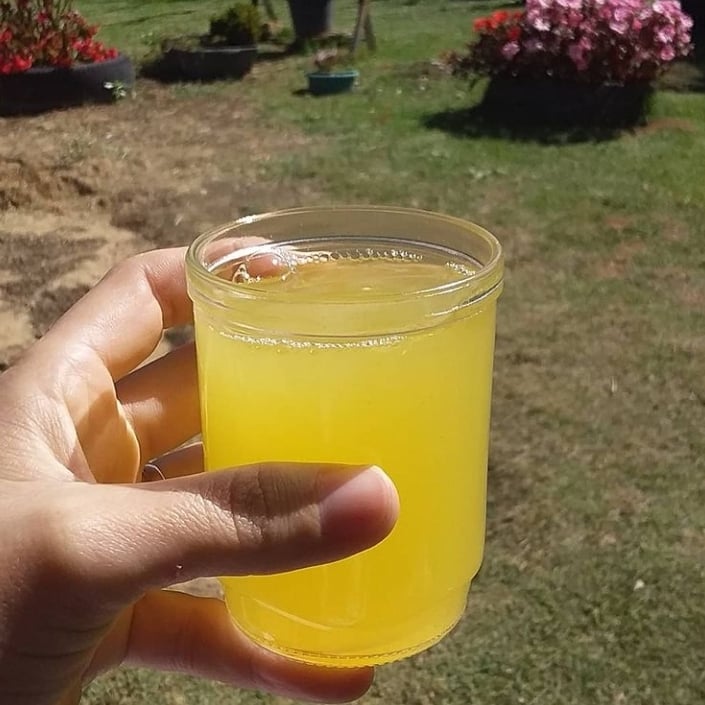 Photo of the Natural orange juice – recipe of Natural orange juice on DeliRec