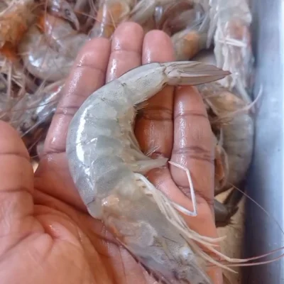 Receta de Moqueca de camarón bahiano en el sitio web de recetas de DeliRec