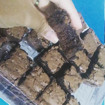 Receta de brownie de Nina en el sitio web de recetas de DeliRec