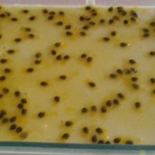 Photo of the Perfect passion fruit mousse – recipe of Perfect passion fruit mousse on DeliRec