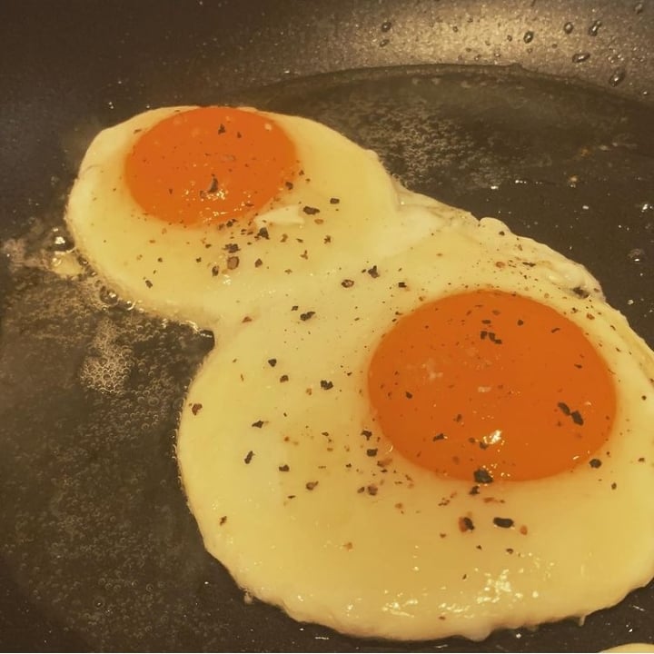 Photo of the Eggs fried in butter – recipe of Eggs fried in butter on DeliRec