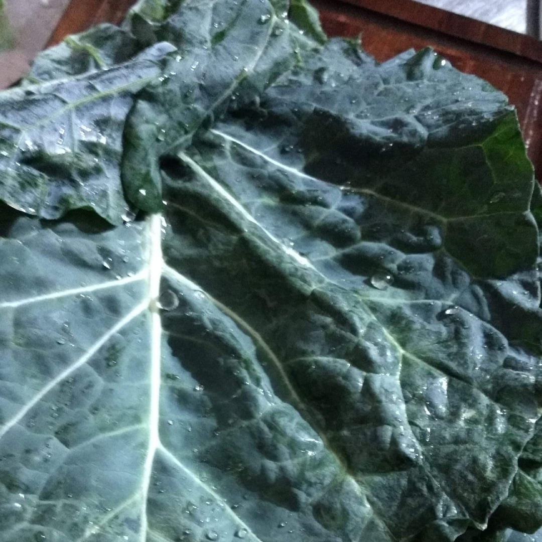 Photo of the cabbage crispy – recipe of cabbage crispy on DeliRec