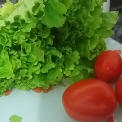Foto da Salada simples e fácil  - receita de Salada simples e fácil  no DeliRec
