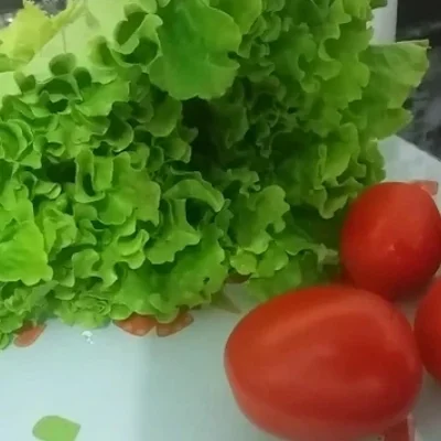 Recipe of Simple and easy salad on the DeliRec recipe website