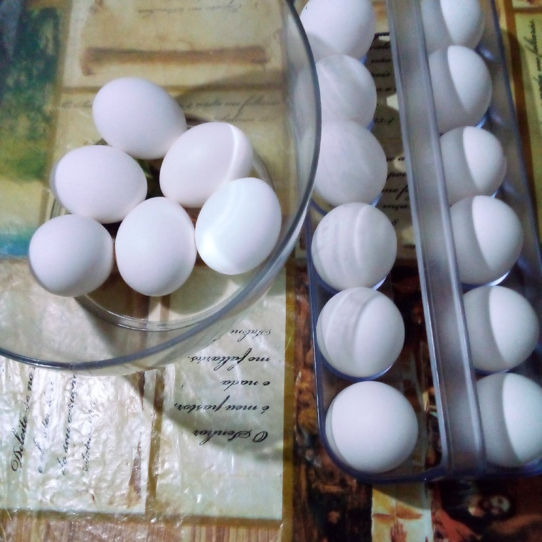 Foto da Omelete de ovo  - receita de Omelete de ovo  no DeliRec