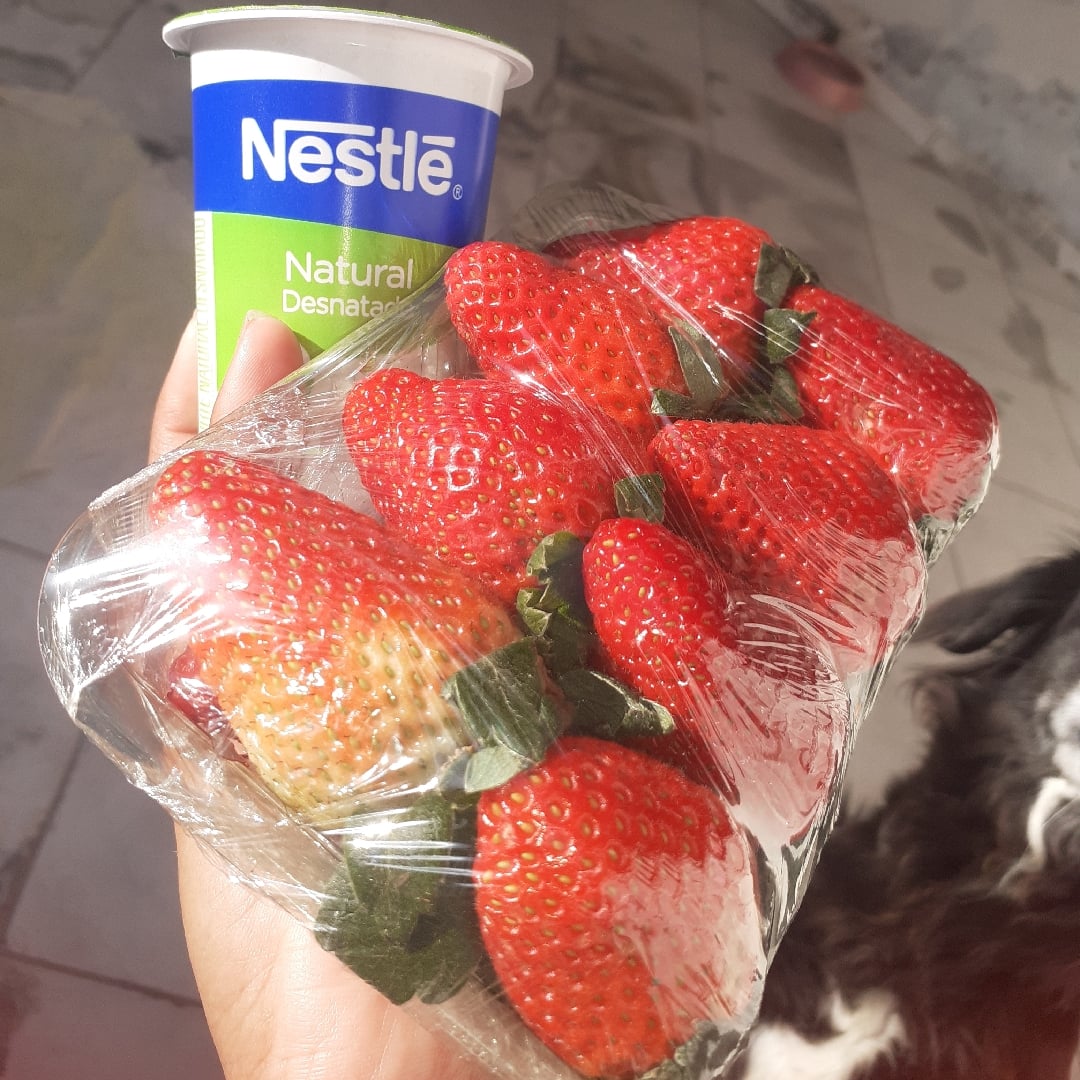 Photo of the Strawberry Danoninho – recipe of Strawberry Danoninho on DeliRec