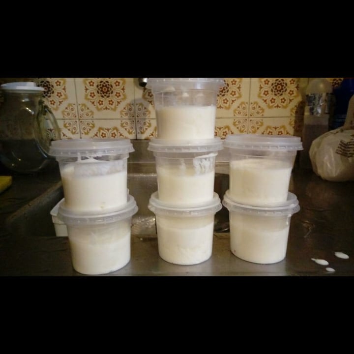Photo of the Natural yogurt – recipe of Natural yogurt on DeliRec