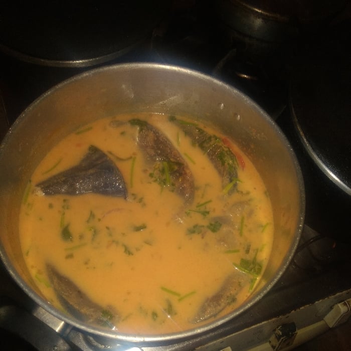Photo of the Coconut brim with lots of tomato sauce, onions, peppers and cilantro and a cream of milk – recipe of Coconut brim with lots of tomato sauce, onions, peppers and cilantro and a cream of milk on DeliRec