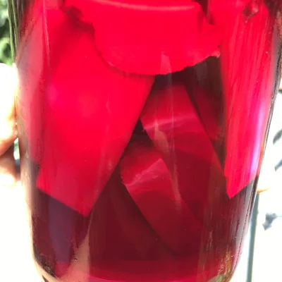 Recipe of Sweet and sour pickled beets on the DeliRec recipe website