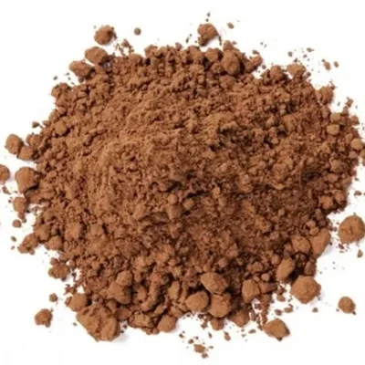 Receta de Galleta de cacao (fuente: naminhapanela.com) en el sitio web de recetas de DeliRec