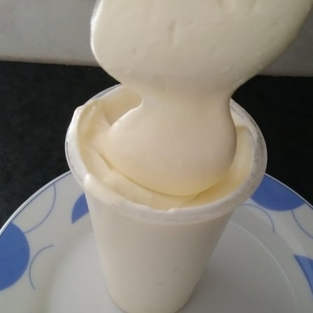 Photo of the Creamy homemade cheese – recipe of Creamy homemade cheese on DeliRec