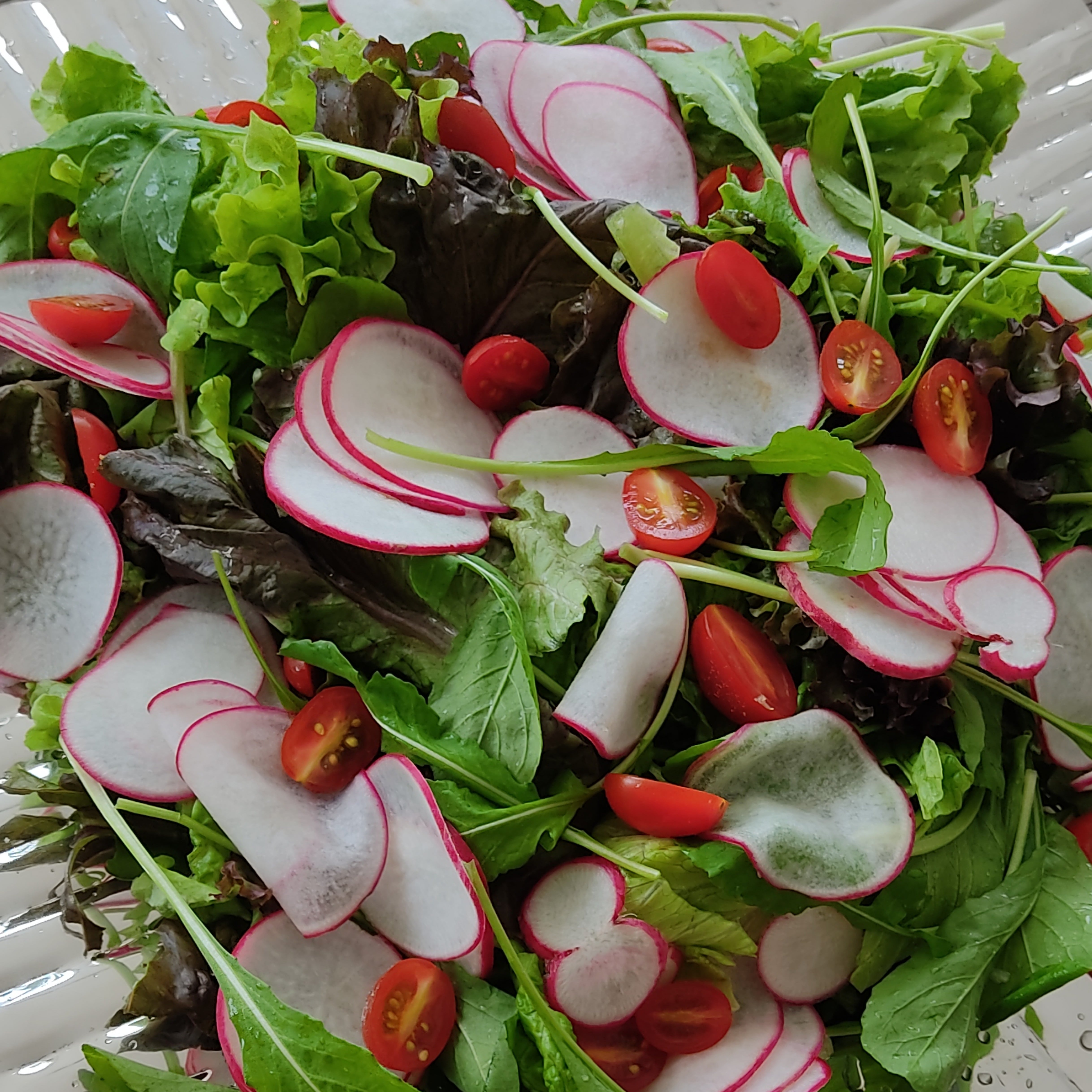 Photo of the Mix of leaves with radishes – recipe of Mix of leaves with radishes on DeliRec