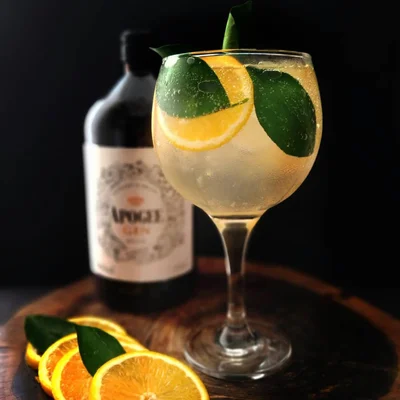 Recipe of gin with orange on the DeliRec recipe website