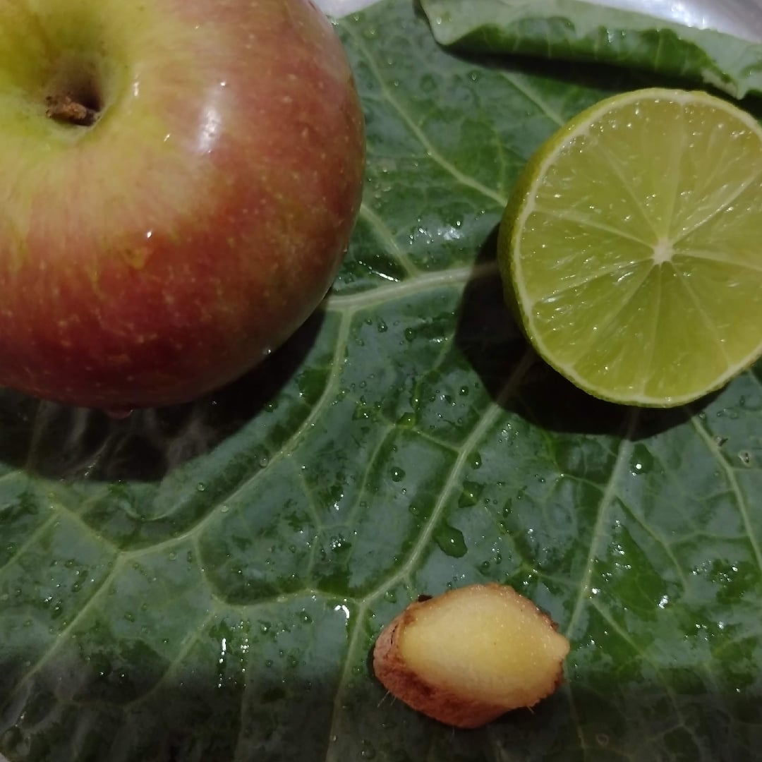 Foto da Suco nutritivo de maçã com hortelã  - receita de Suco nutritivo de maçã com hortelã  no DeliRec