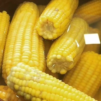 Foto de la maíz verde hervido – receta de maíz verde hervido en DeliRec