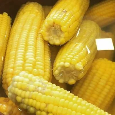 Recipe of boiled green corn on the DeliRec recipe website