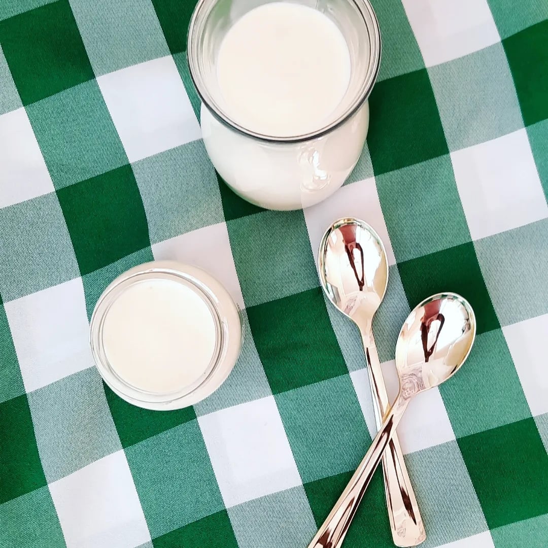 Photo of the homemade natural yogurt – recipe of homemade natural yogurt on DeliRec