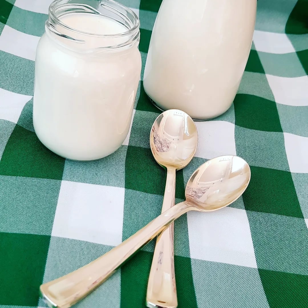 Photo of the homemade natural yogurt – recipe of homemade natural yogurt on DeliRec