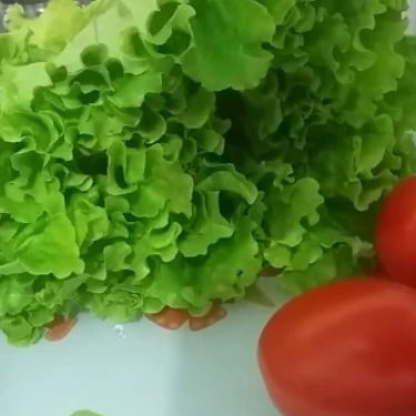 Photo of the light salad – recipe of light salad on DeliRec