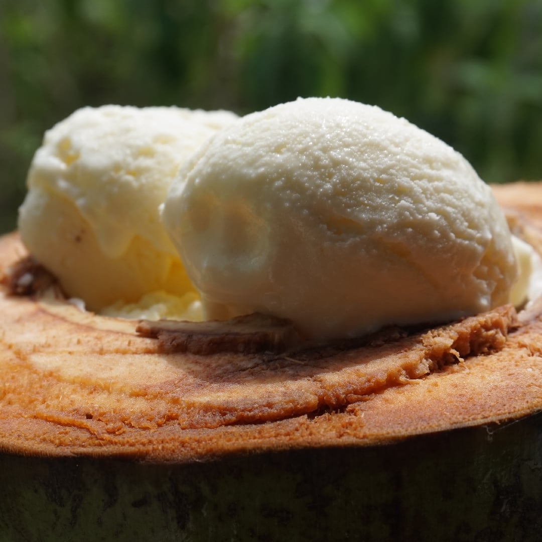 Photo of the creamy coconut ice cream – recipe of creamy coconut ice cream on DeliRec