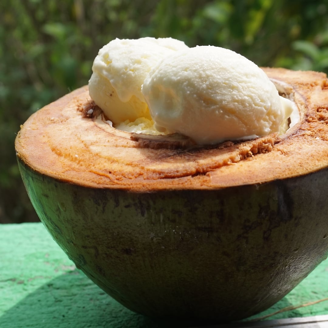 Photo of the creamy coconut ice cream – recipe of creamy coconut ice cream on DeliRec