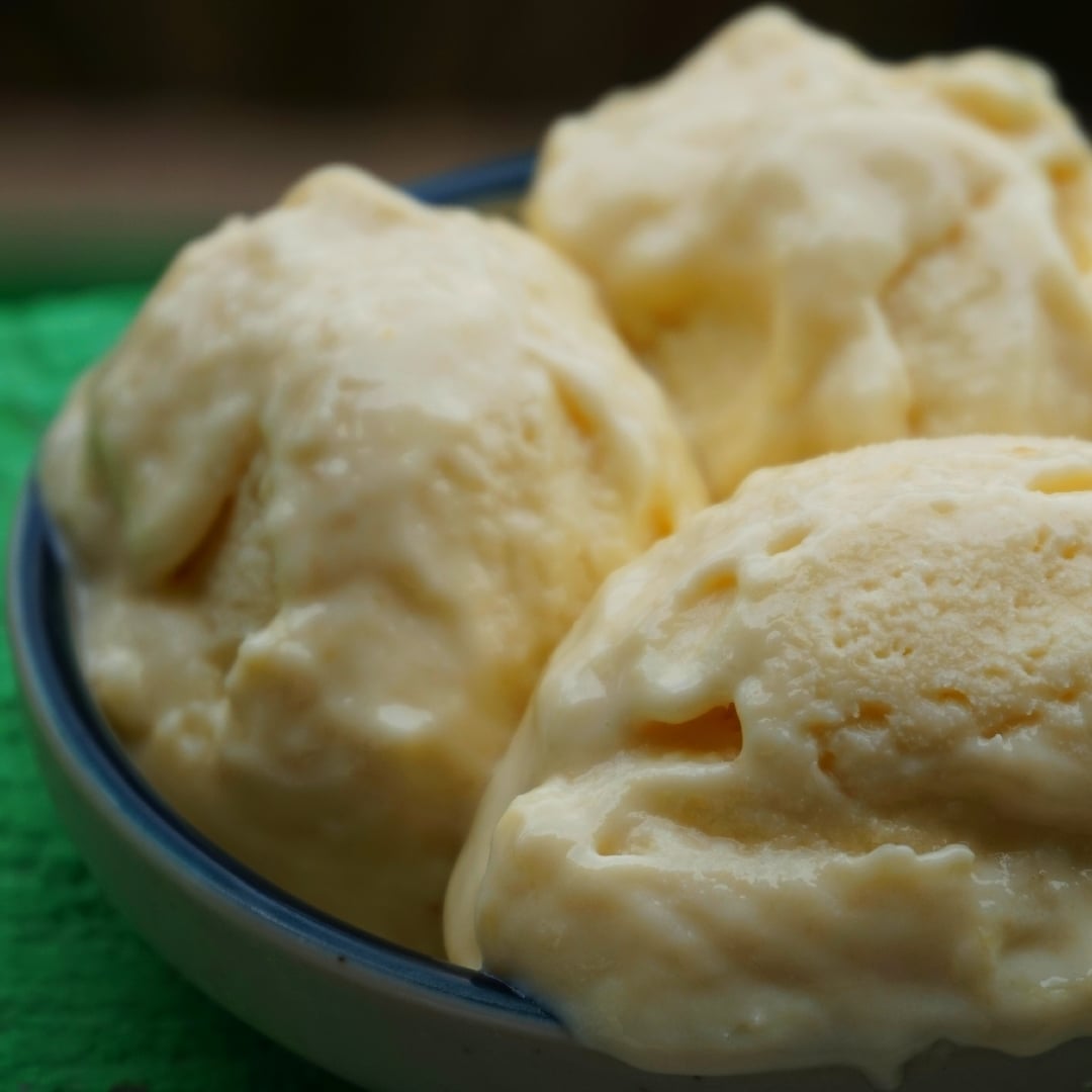 Photo of the artisanal jackfruit ice cream – recipe of artisanal jackfruit ice cream on DeliRec