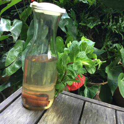 Recipe of Cinnamon mint tea on the DeliRec recipe website