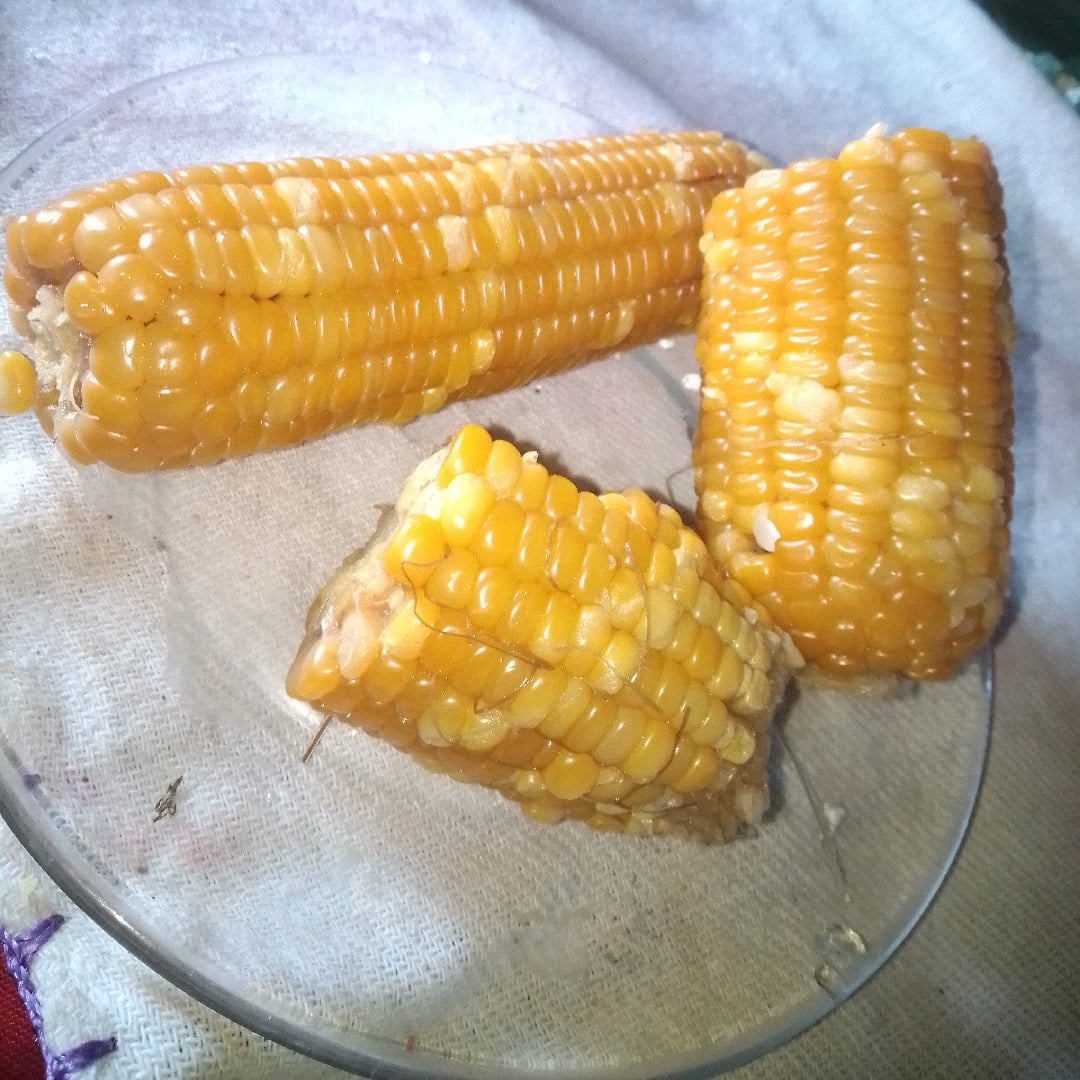 Photo of the cooked corn – recipe of cooked corn on DeliRec