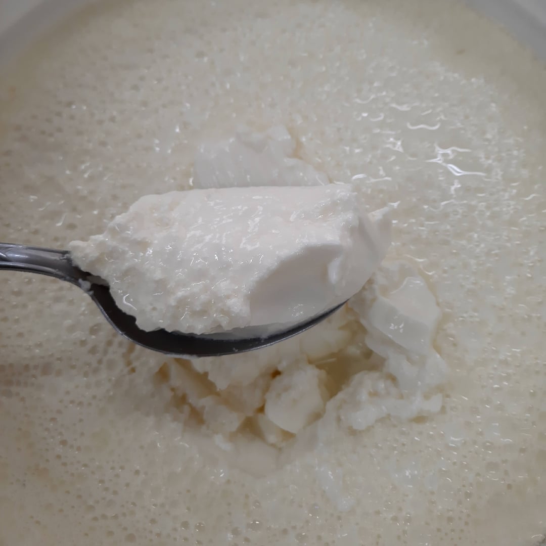 Photo of the Homemade Greek iogurt. – recipe of Homemade Greek iogurt. on DeliRec
