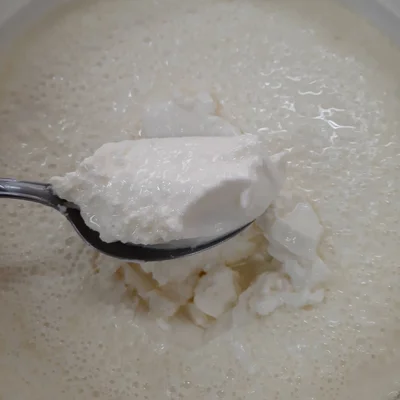 Recipe of Homemade Greek iogurt. on the DeliRec recipe website