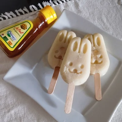 Recipe of Melon Ice Cream with Organic Honey 🍈🍯 on the DeliRec recipe website