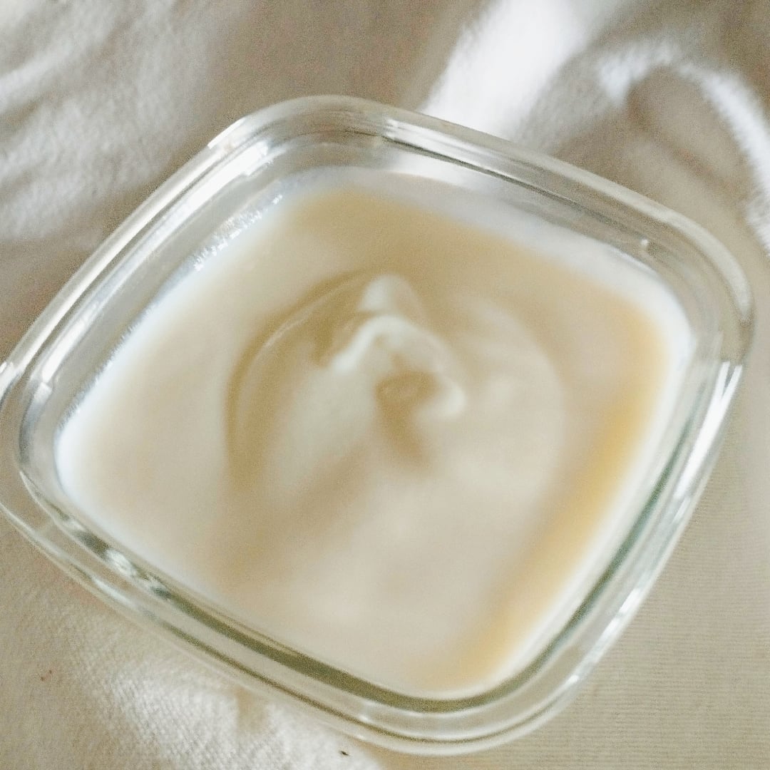 Foto da Iogurte natural de Kefir  - receita de Iogurte natural de Kefir  no DeliRec