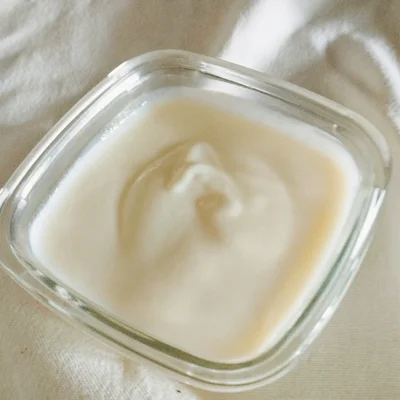 Recipe of Natural kefir yogurt on the DeliRec recipe website