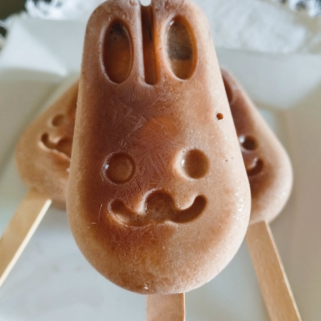 Photo of the YoPro Chocolate Ice Cream – recipe of YoPro Chocolate Ice Cream on DeliRec
