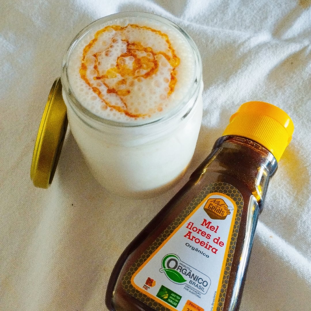 Photo of the Natural yogurt beaten with Organic Honey Flores de Aroeira 🍯 – recipe of Natural yogurt beaten with Organic Honey Flores de Aroeira 🍯 on DeliRec